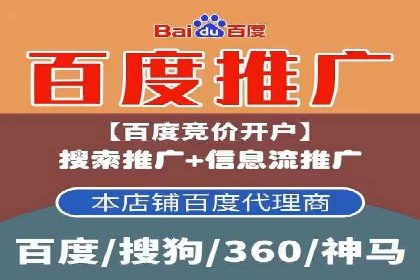 SEM代运营服务公司案例分析：数据驱动营销策略